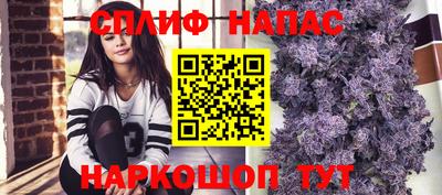 шишки Краснознаменск