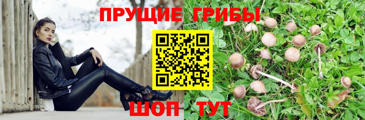 Галлюциногенные грибы GOLDEN TEACHER  Вход с VPN  Первоуральск  Галлюциногенные грибы Cubensis 